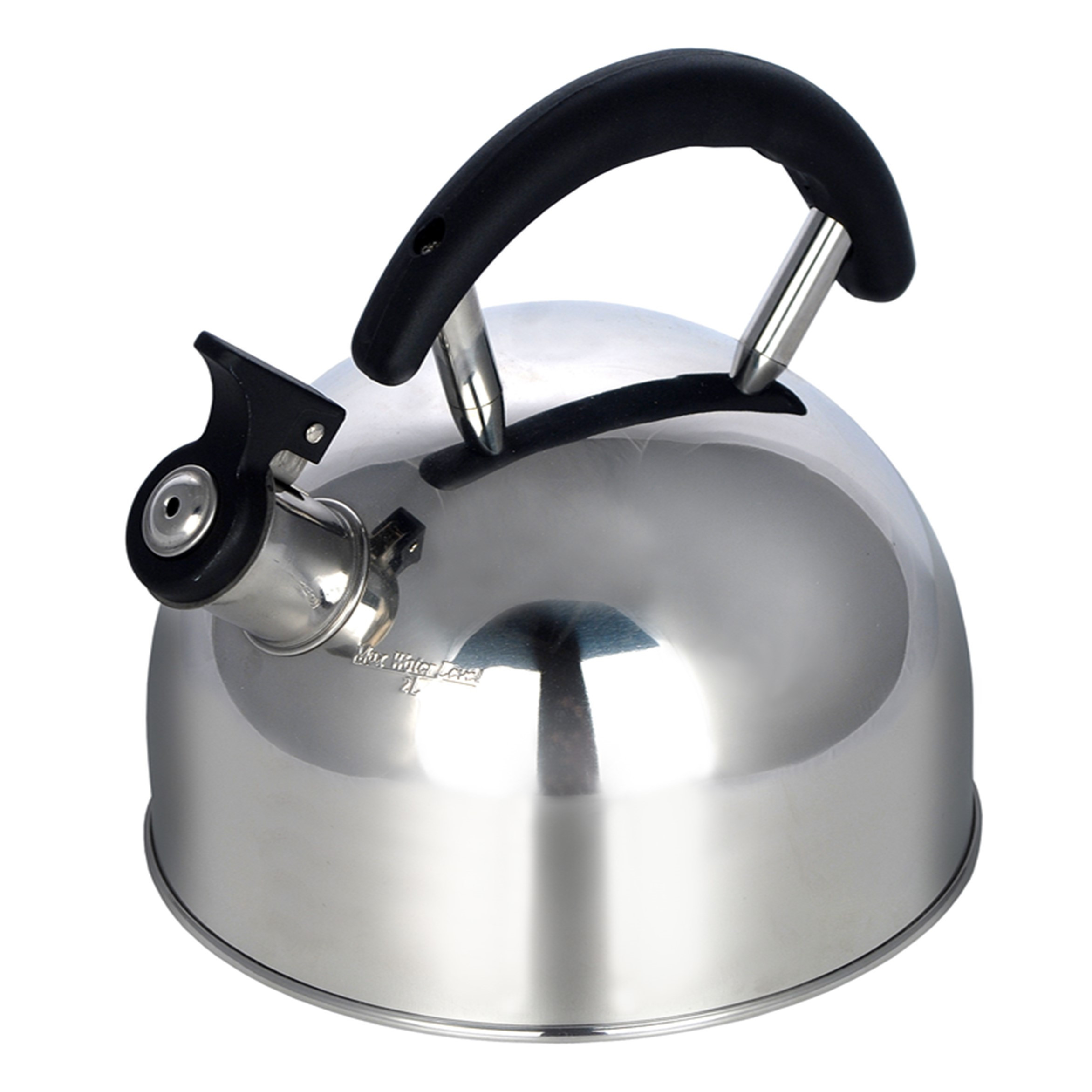 Stainless store whistling kettle